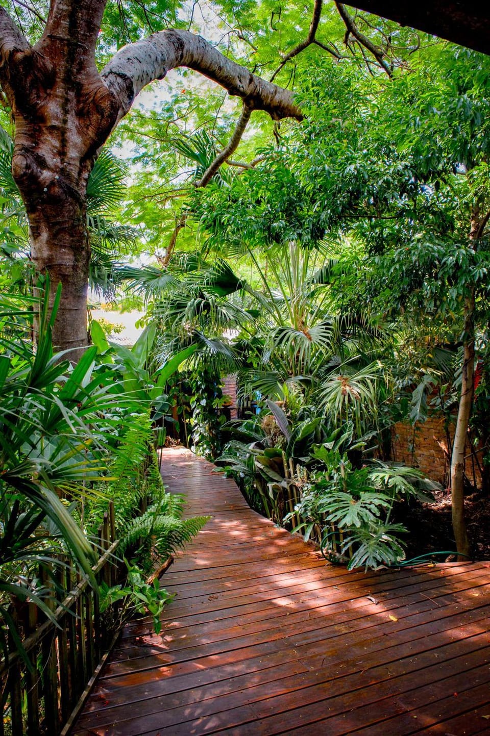 Natural landscape, Garden