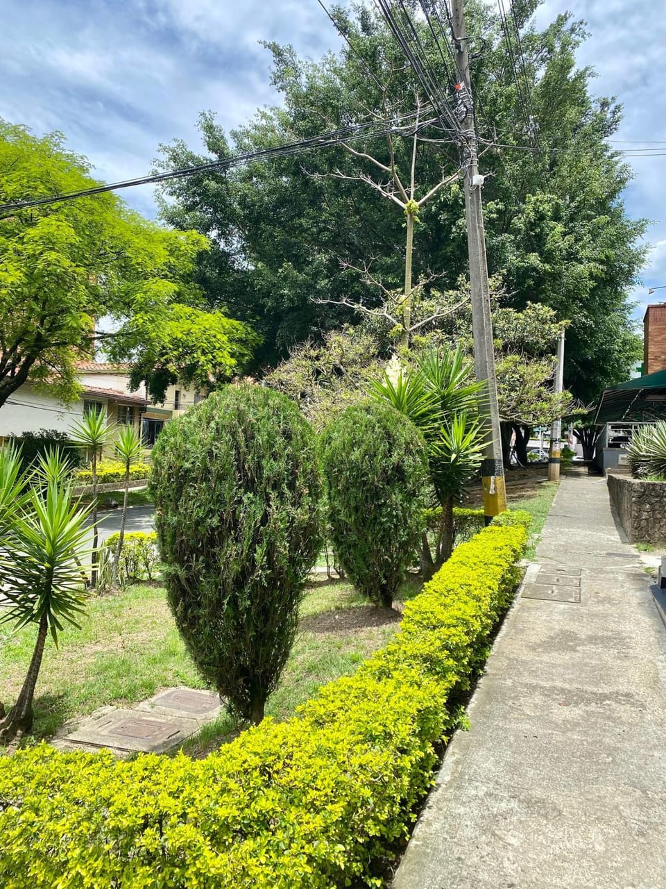 Loft - Laureles, interno con patio Apartment in Medellin