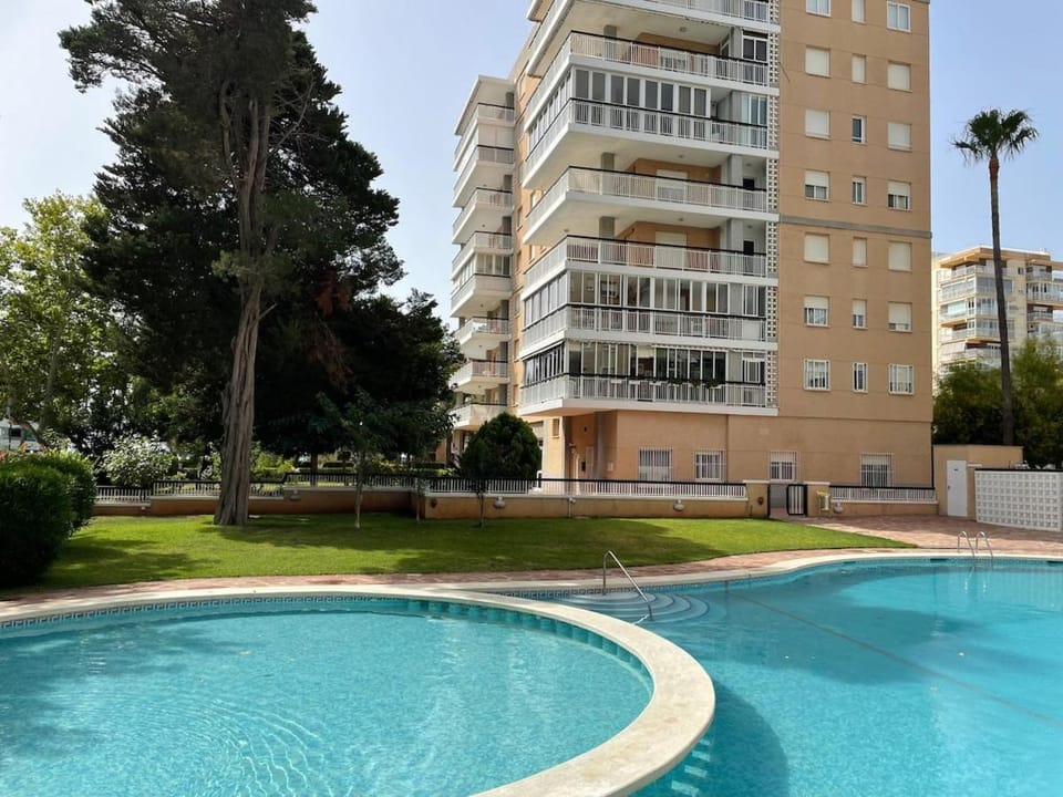 Day, Garden, Swimming pool