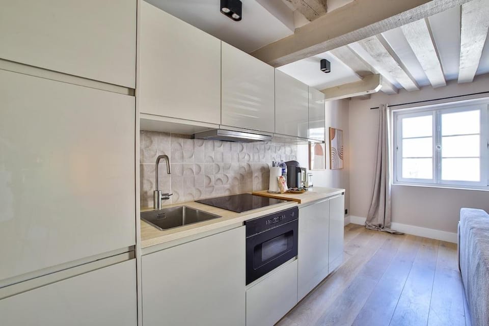 Heart of Marais a Large 1-Bedroom Apartment Apartment in Paris