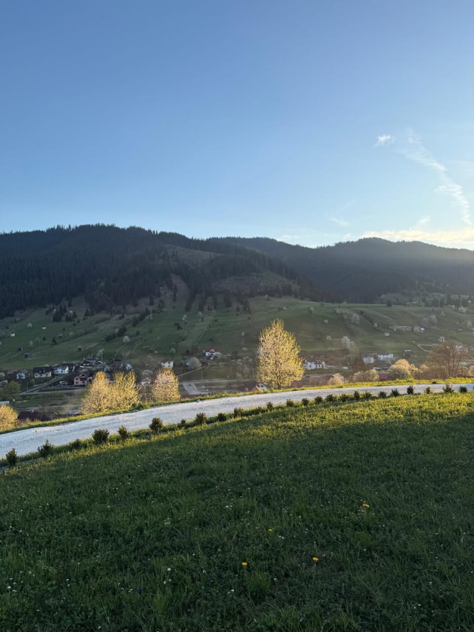 Mountain view