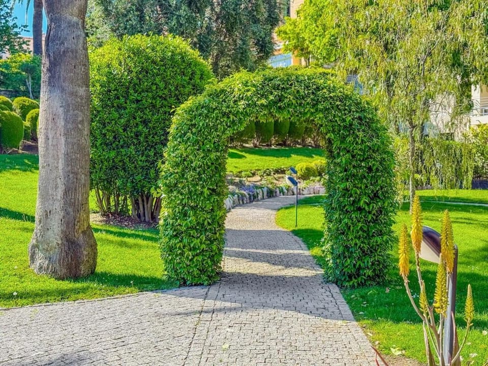 Garden view
