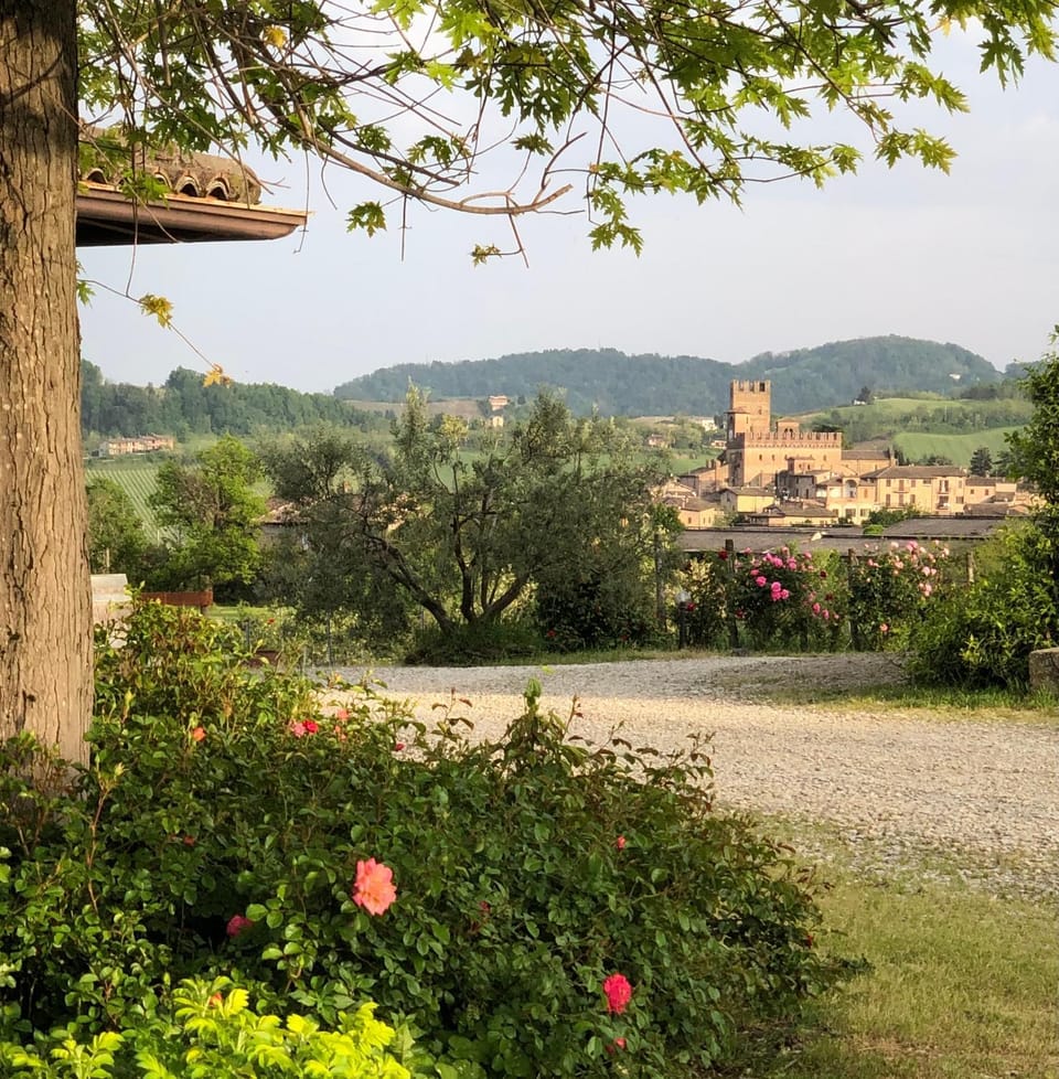 Nearby landmark, Spring, Day, Natural landscape, Garden, City view, Garden view, Mountain view
