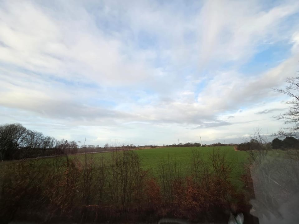 Natural landscape