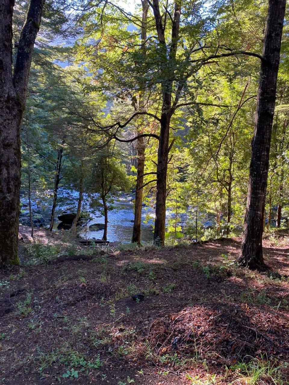 Aventura mágica! Cabañas del bosque con ribera House in Pucon