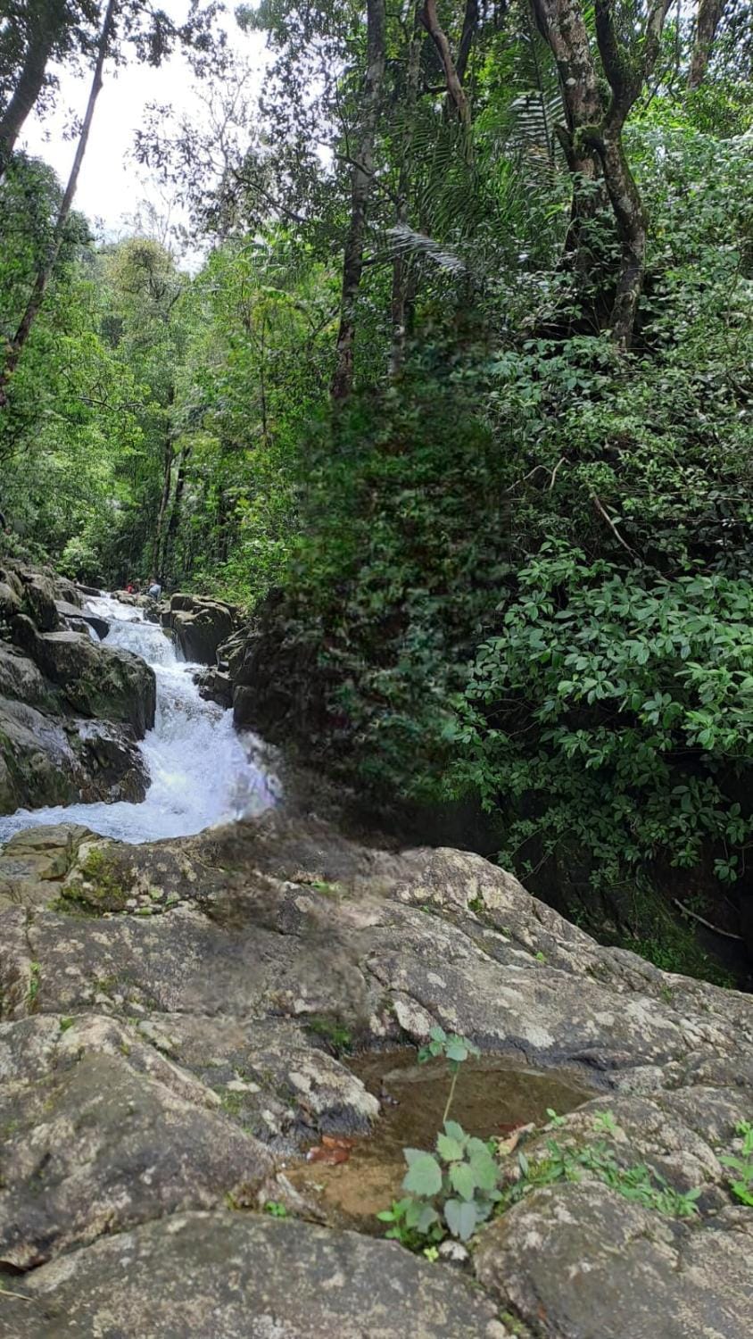 Agumbe Malnad cloud homestay Vacation rental in Karnataka