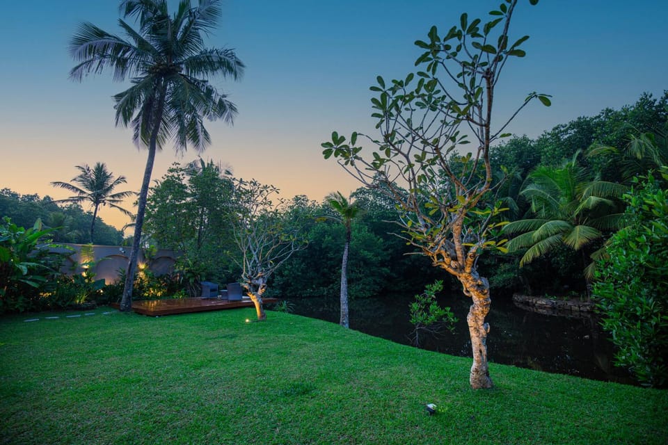 Garden, Garden, Garden view
