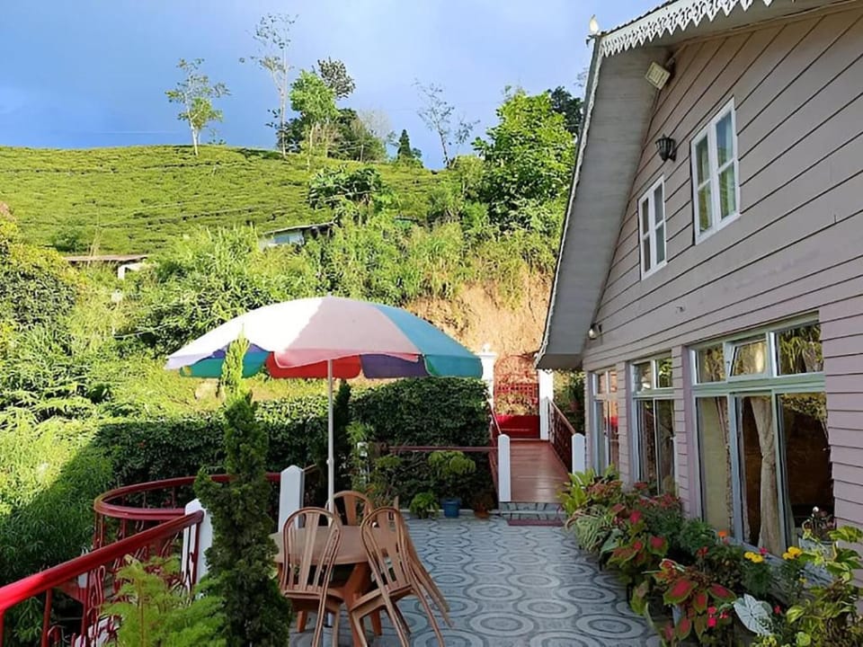 Property building, Garden view