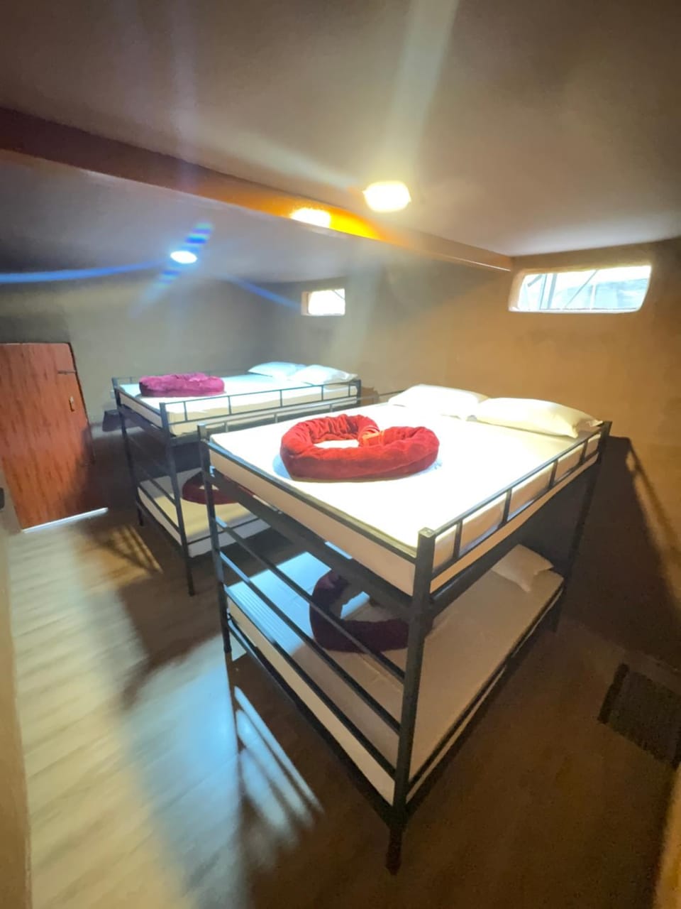 Bed, Photo of the whole room, bunk bed