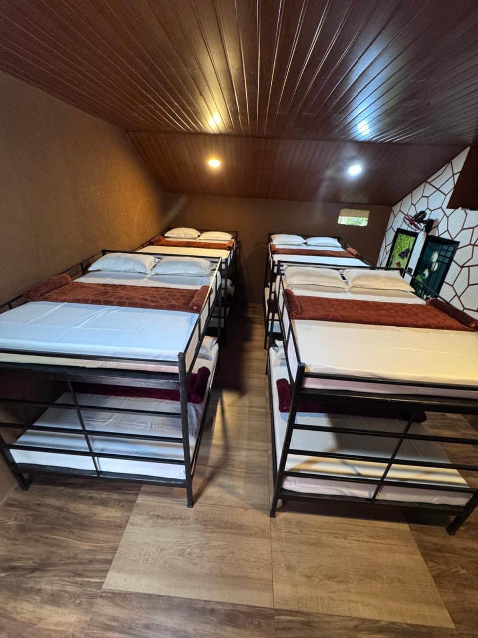 Bed, Photo of the whole room, bunk bed