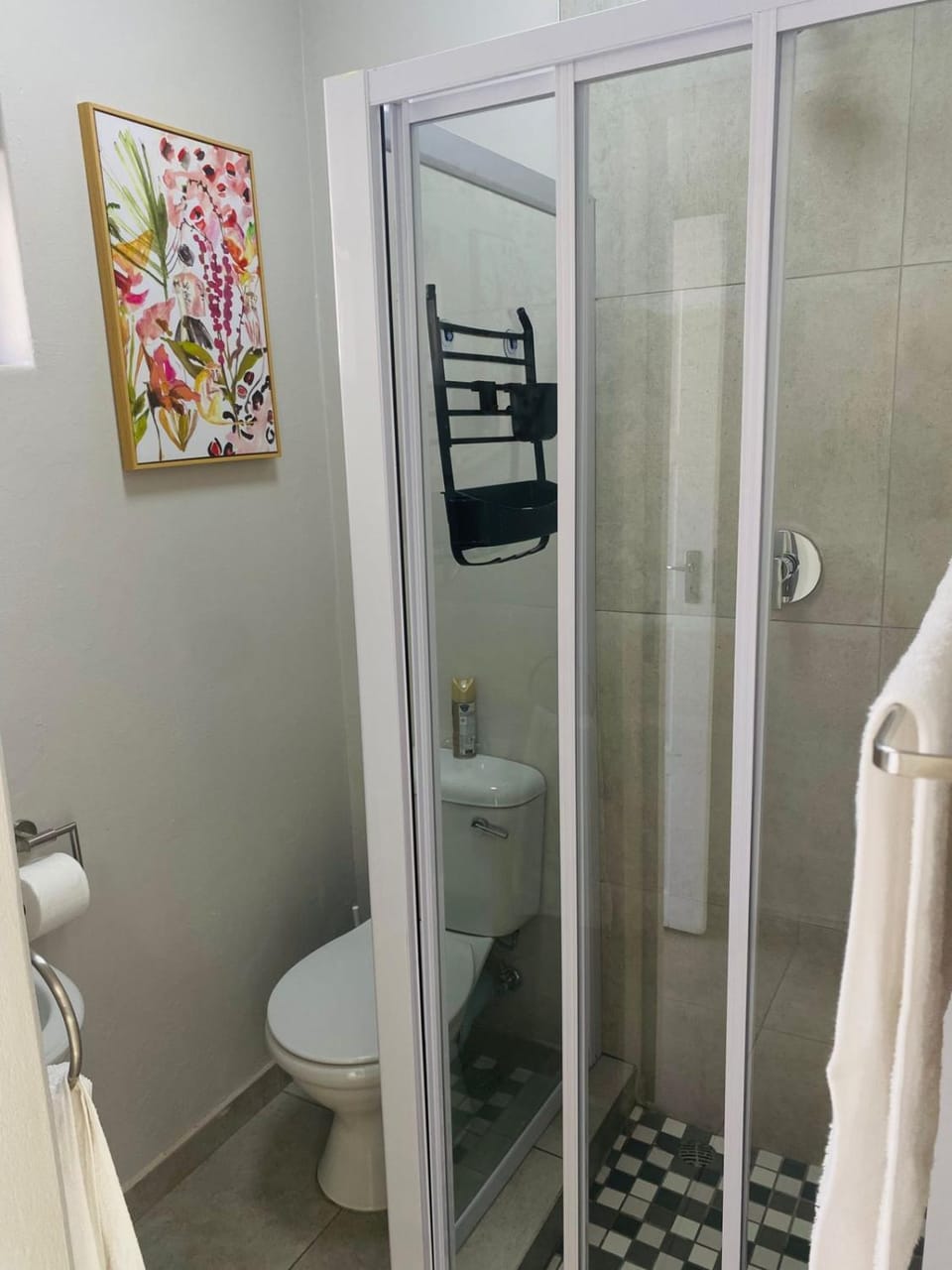 Shower, Toilet, towels