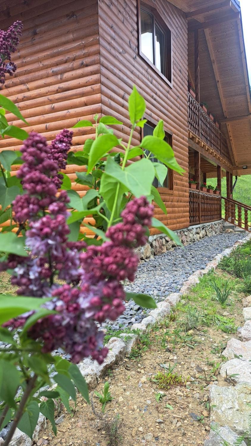 Cabana Luciana Chalet in Romania