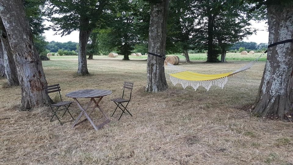 Logement dans château House in Nouvelle-Aquitaine