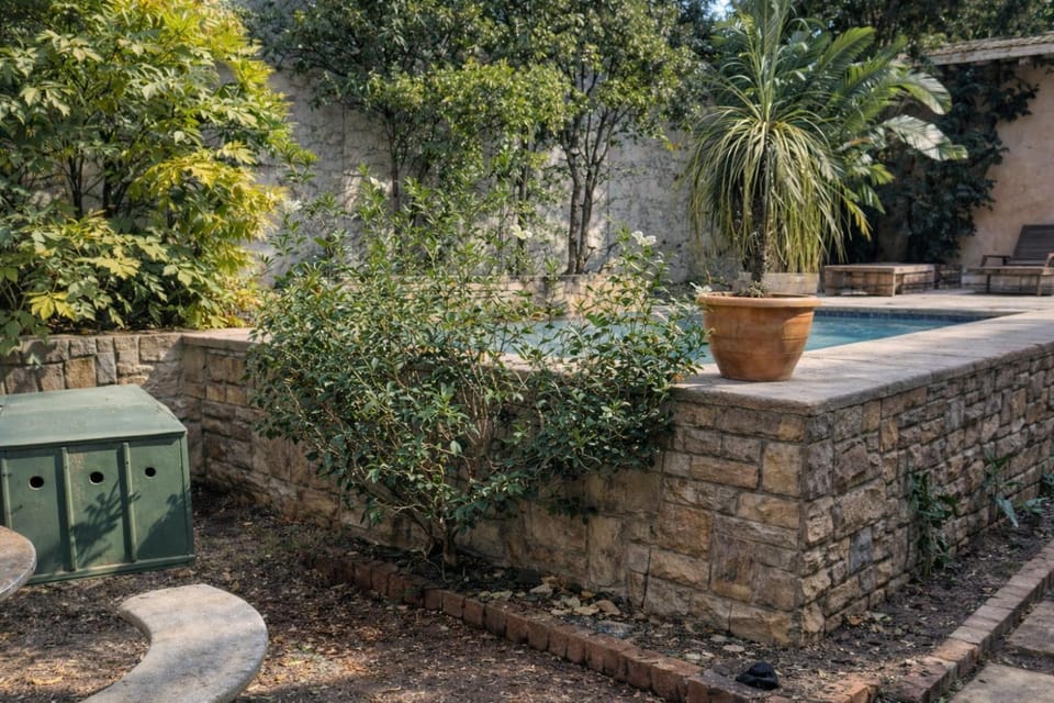 Garden, Pool view