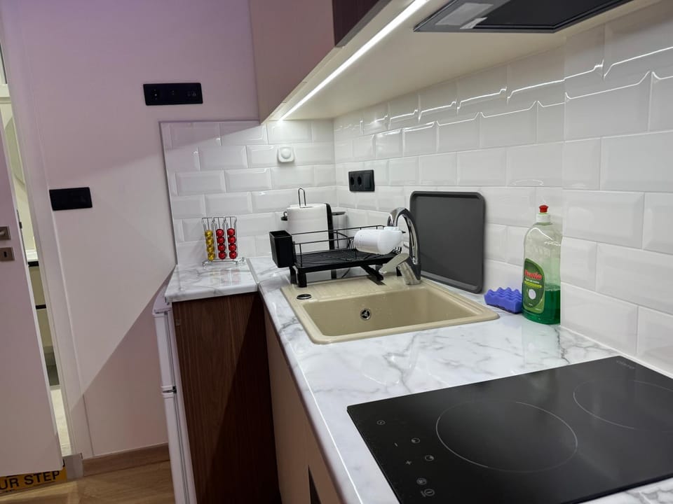 Kitchen or kitchenette, minibar, stove