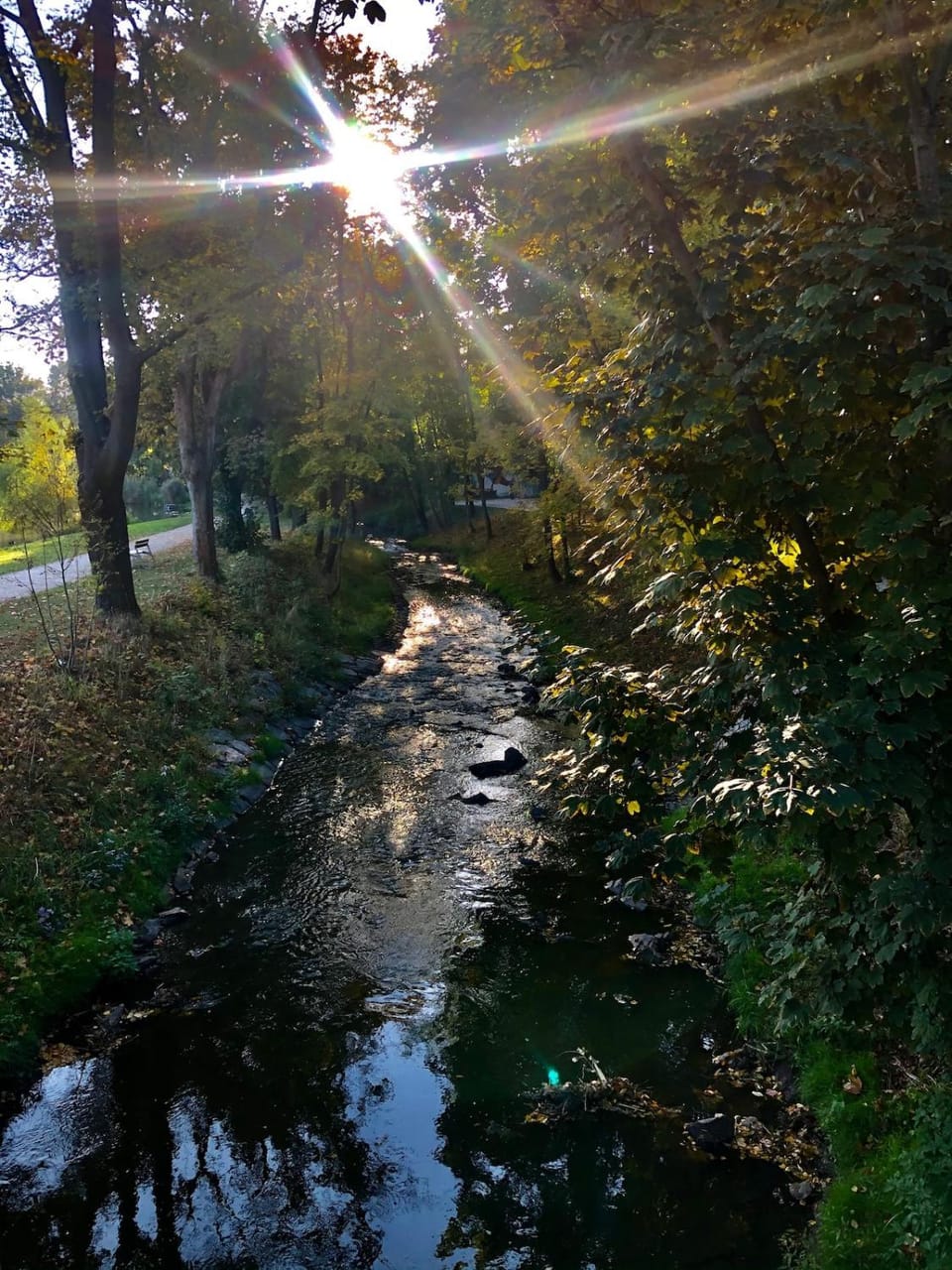 Terrace apartment near centre, parking, river park Apartment in Prague