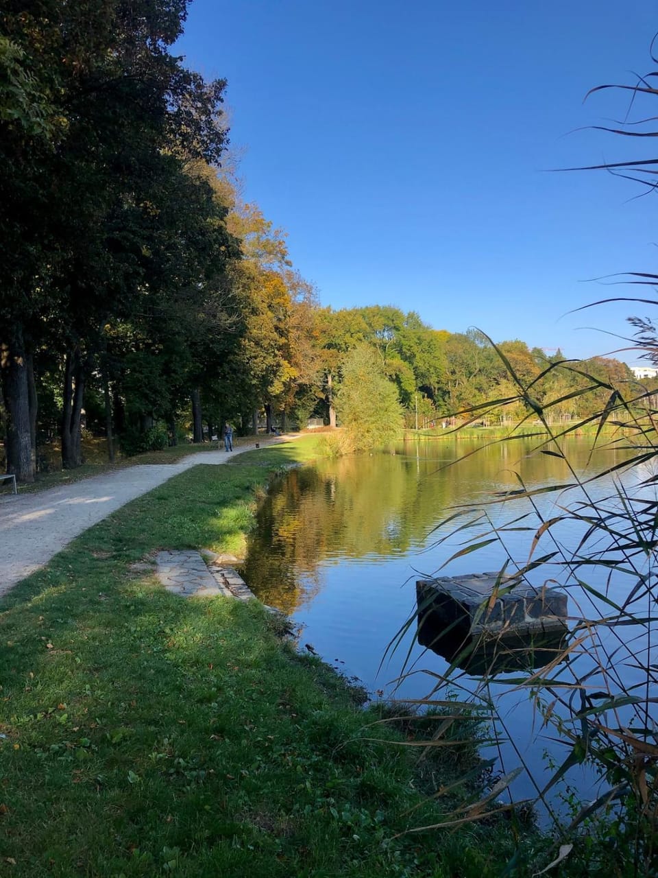 Terrace apartment near centre, parking, river park Apartment in Prague
