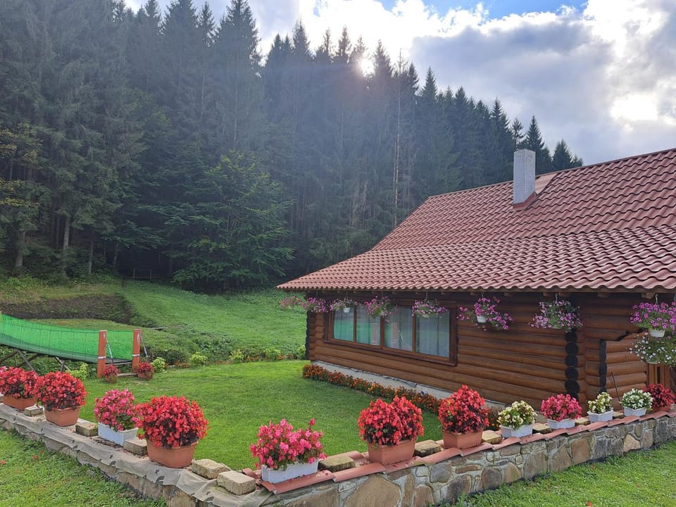 Stream House House in Ukraine