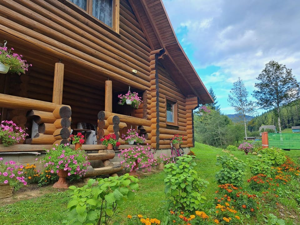 Stream House House in Ukraine