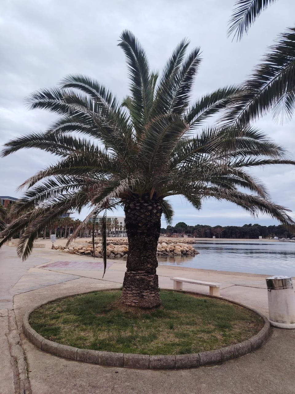 Apartman Antonia Apartment in Novalja