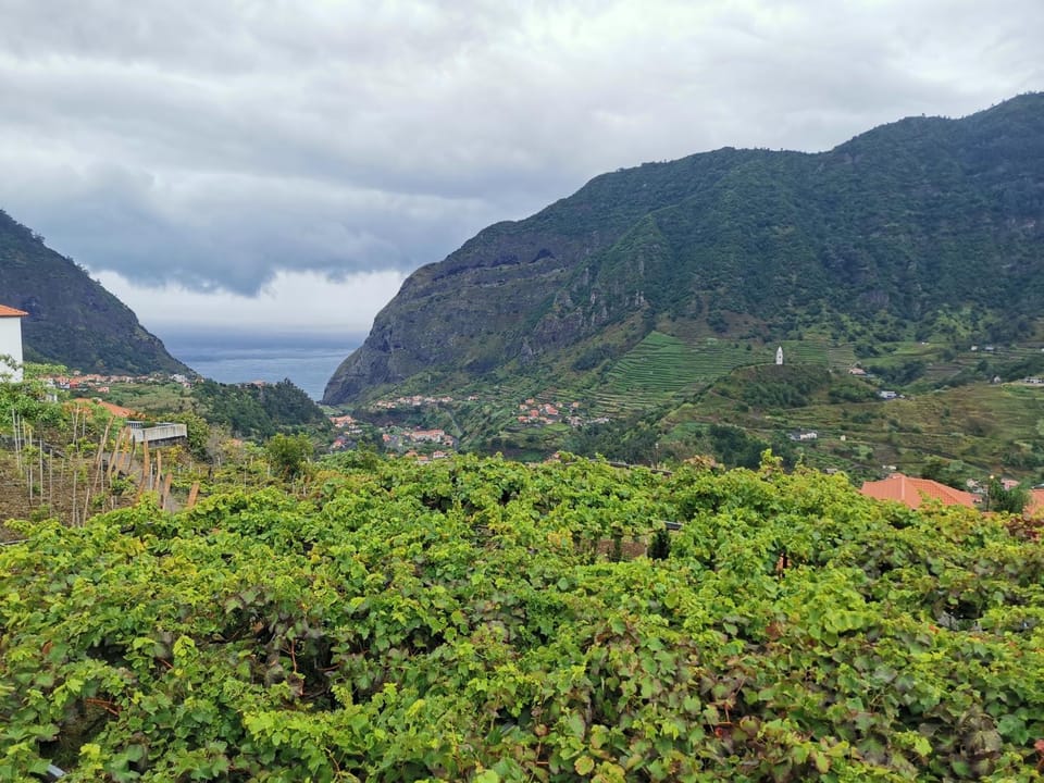 Natural landscape