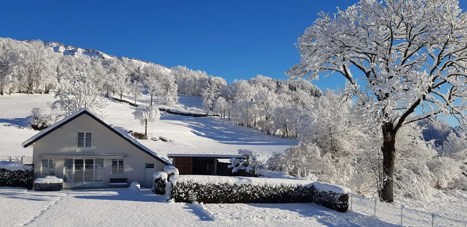 Winter