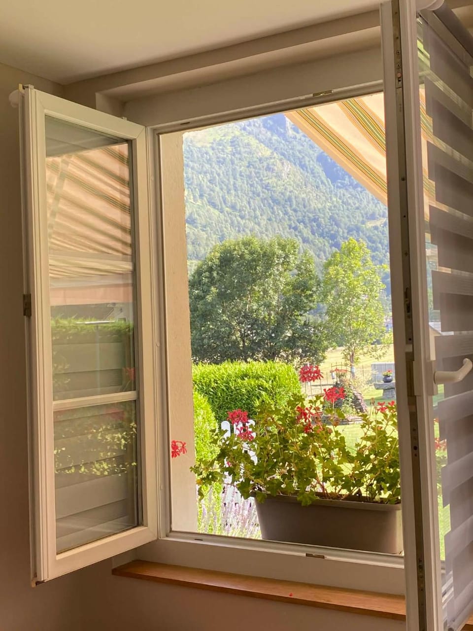 Mountain view