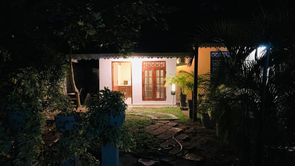 Night, Garden, Garden view