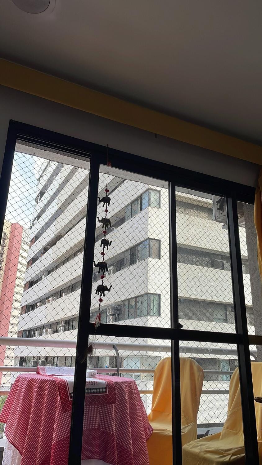 Cat friendly Apartment in Fortaleza