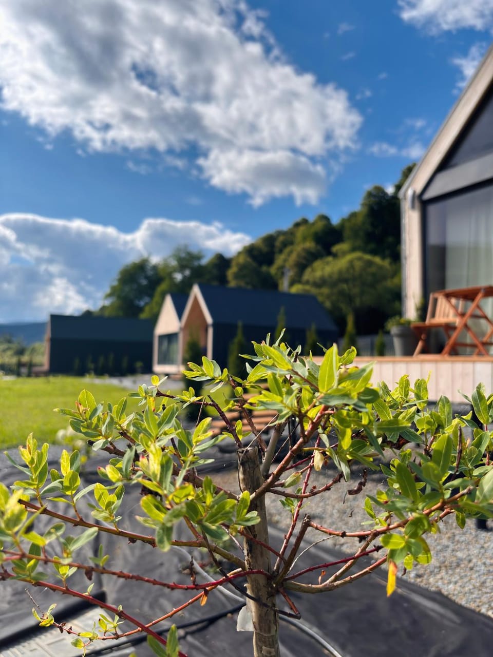 Property building, Spring, Natural landscape, Garden view