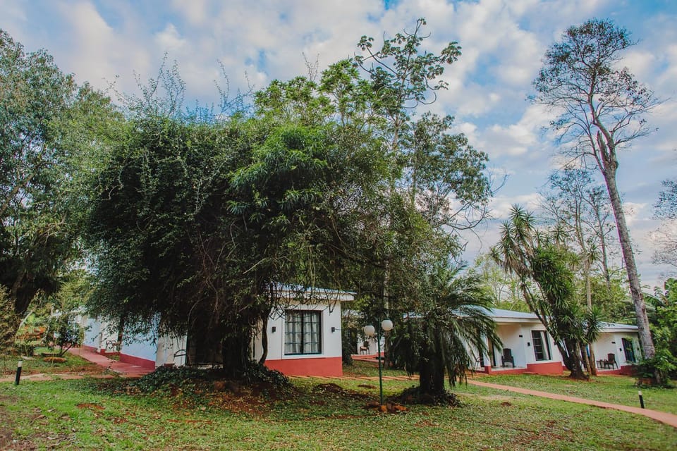 Property building, Garden