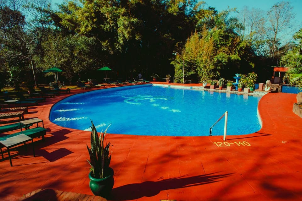 Day, Garden, Garden view, Pool view, Swimming pool, sunbed