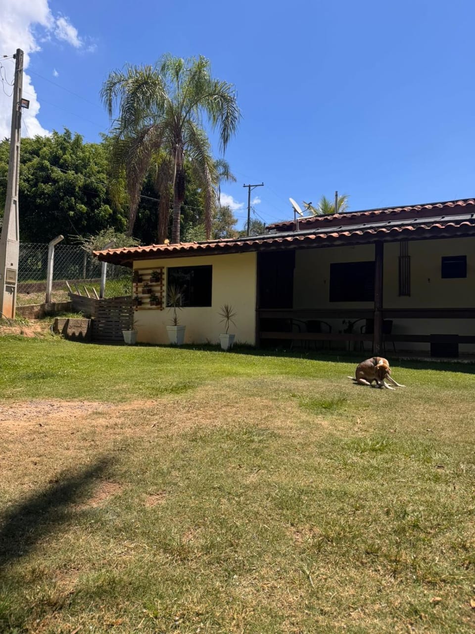 Property building, Garden, Garden view
