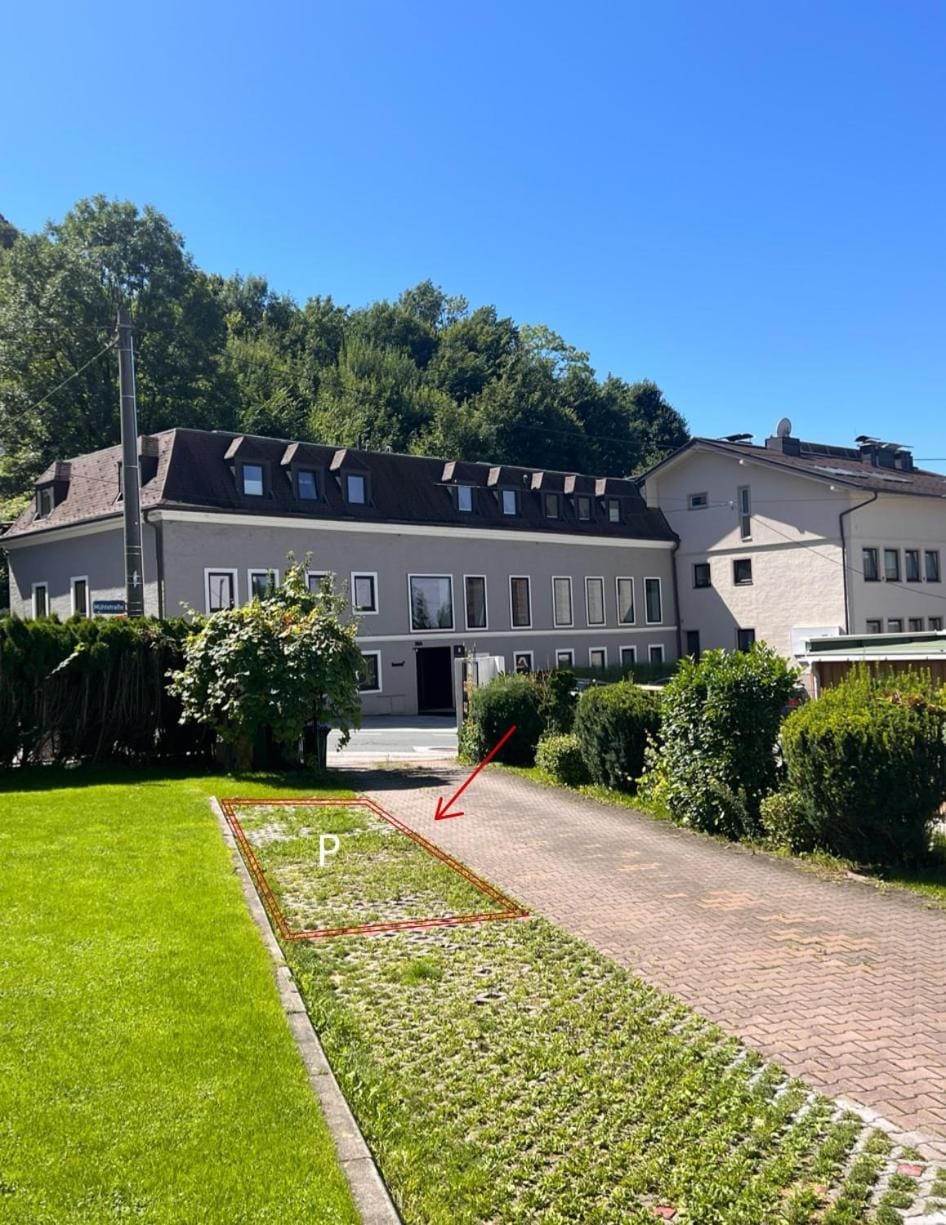 Natural landscape, Garden, Garden view
