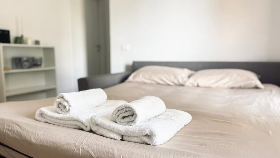 BorgoLuce Apt - FREE Parking - near BGY & Center Apartment in Bergamo