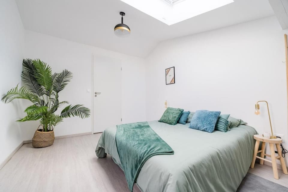 T3 cosy rénové – calme & proche centre Bruguières Apartment in Occitanie