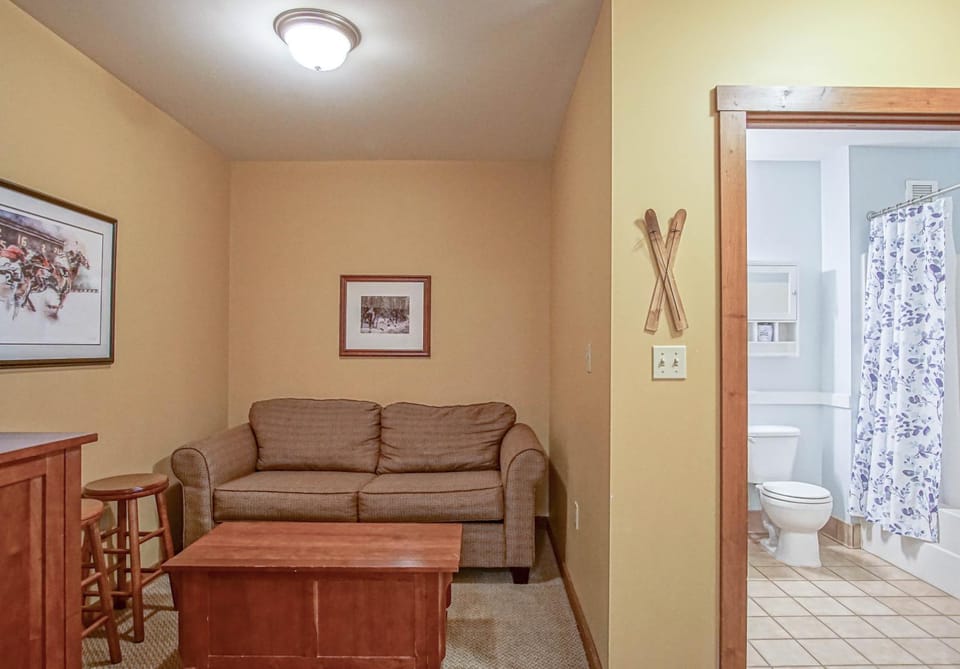 Toilet, Bathroom, Living room, Seating area