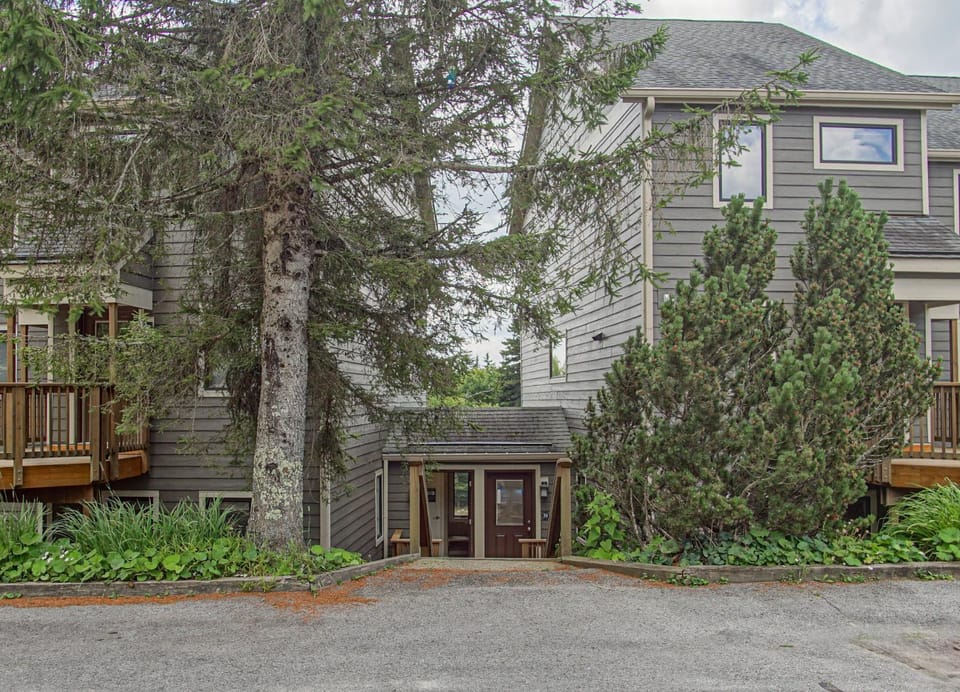 Property building, Facade/entrance, Day, Garden