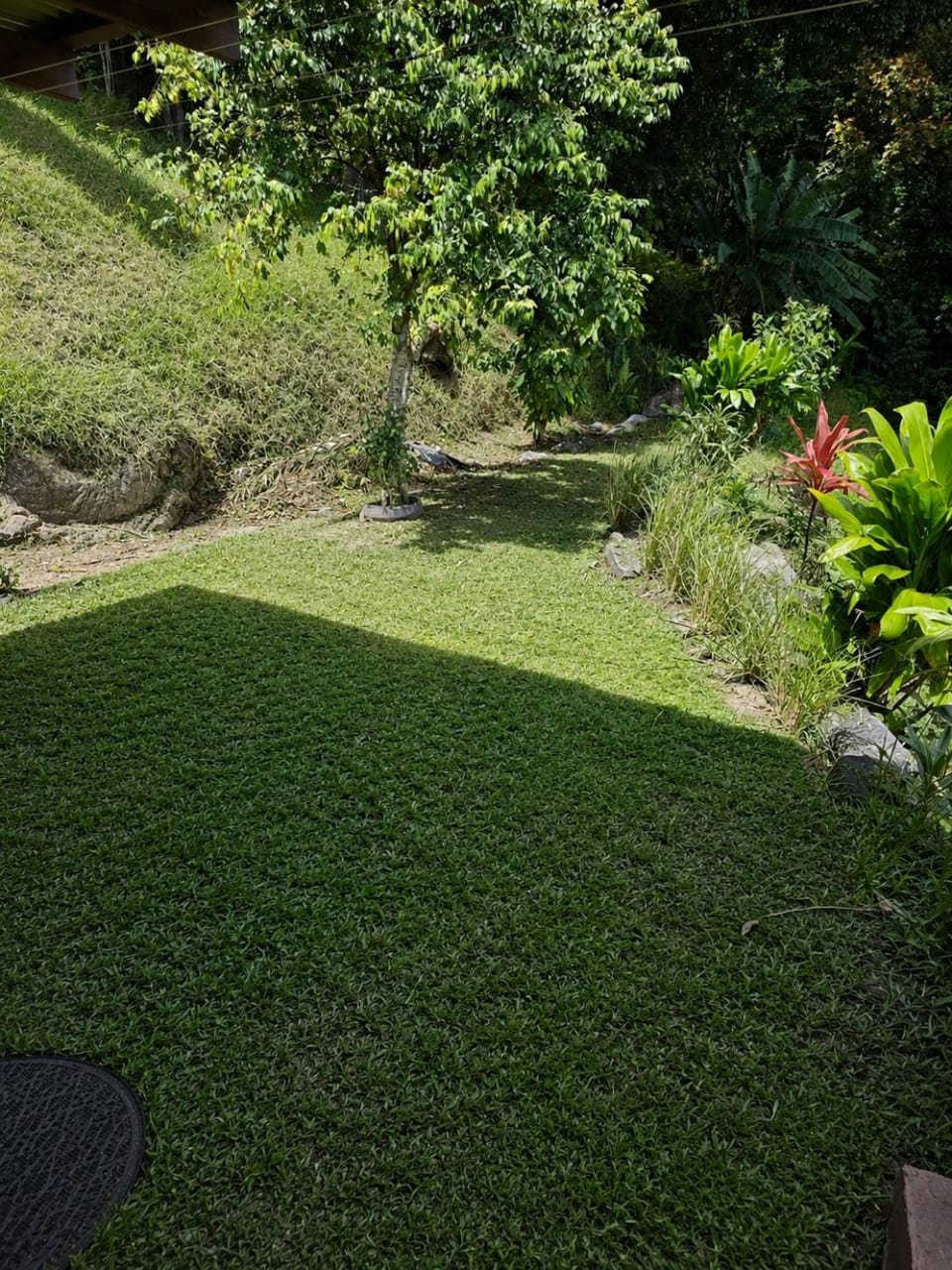 Day, Natural landscape, Garden