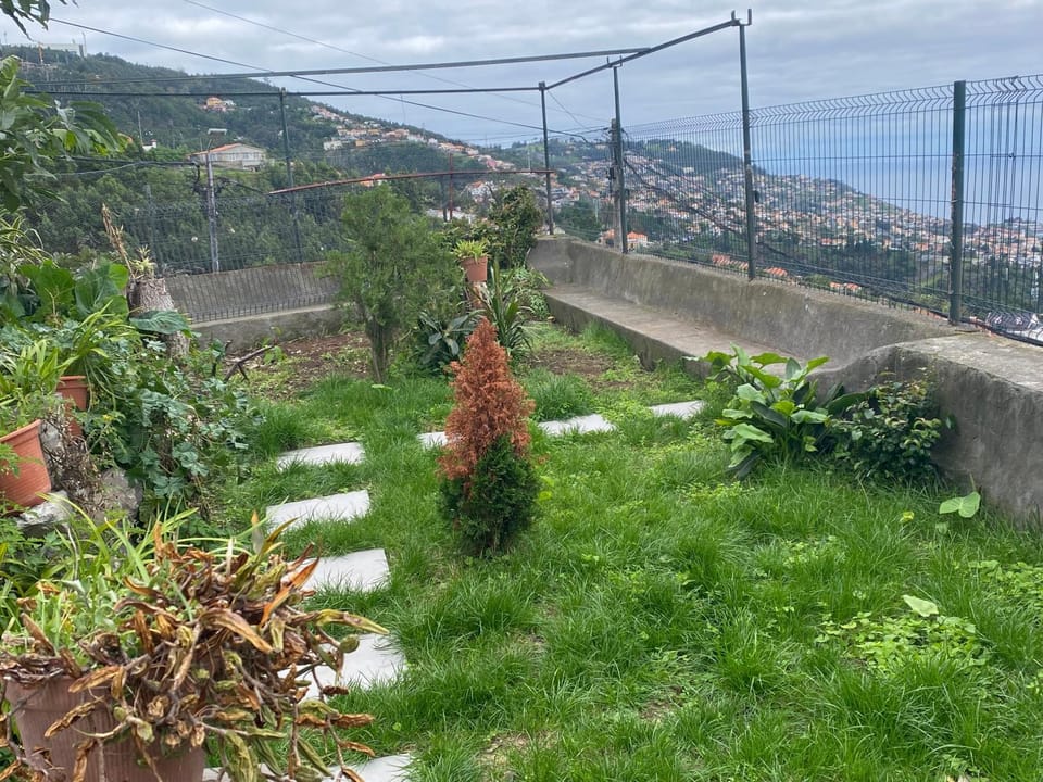 Casa de férias Funchal House in Funchal