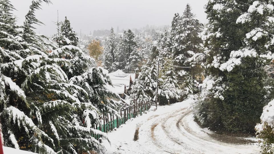 Natural landscape, Winter, Street view