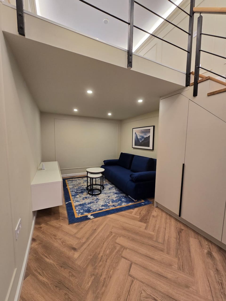 Living room, cot, flat iron, storage, air conditioner