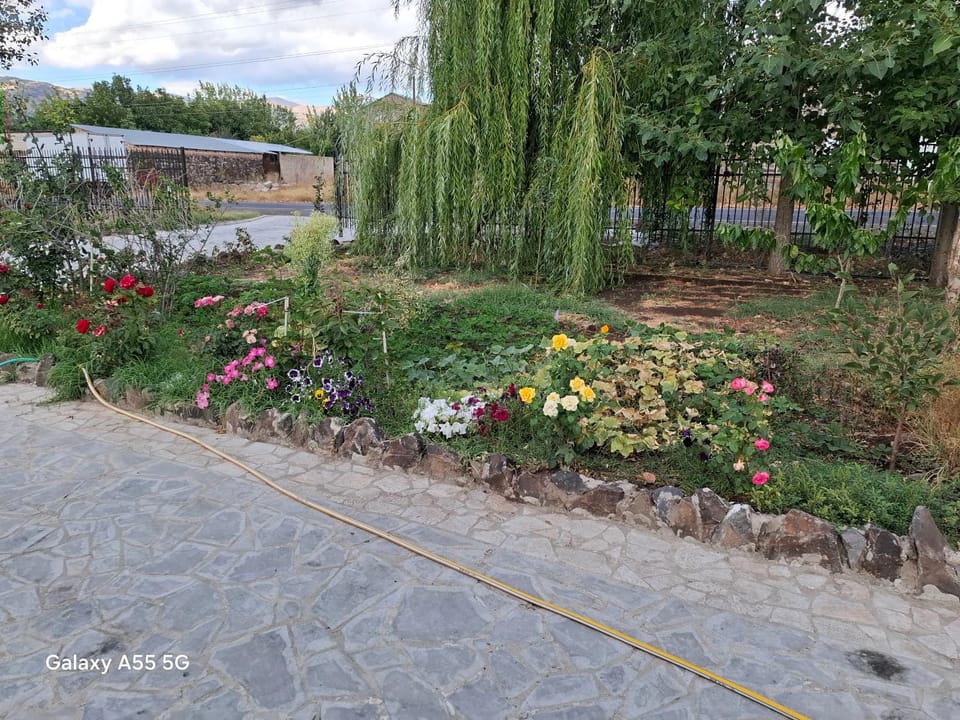 Алрез Гостевой дом Bed and Breakfast in Armenia