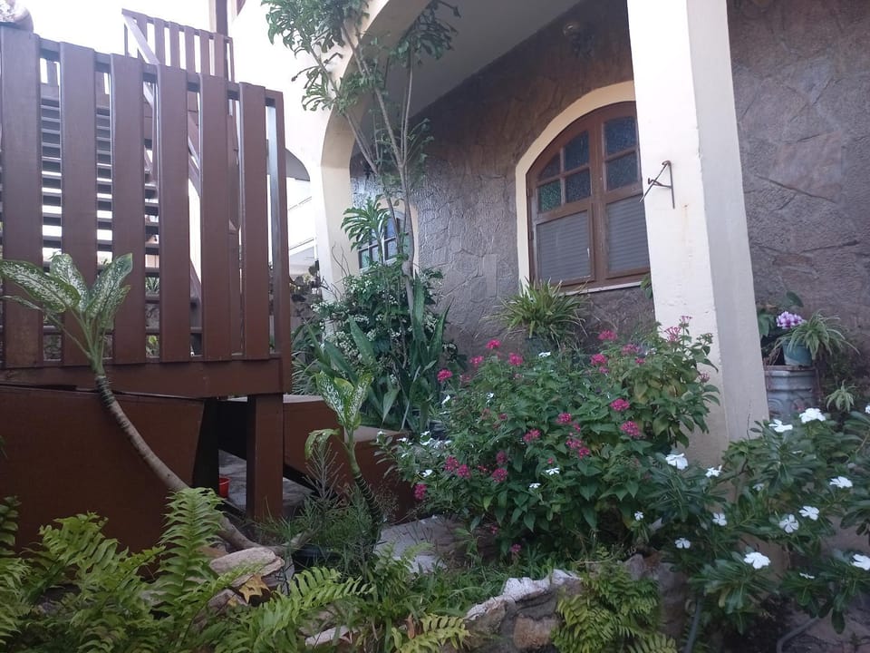 Facade/entrance, Garden