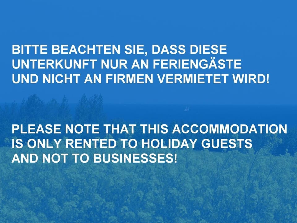 Gelbe Katze - ABC600 - nur Feriengäste! Apartment in Wismar