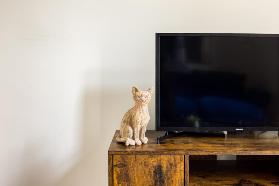 TV and multimedia, Pets