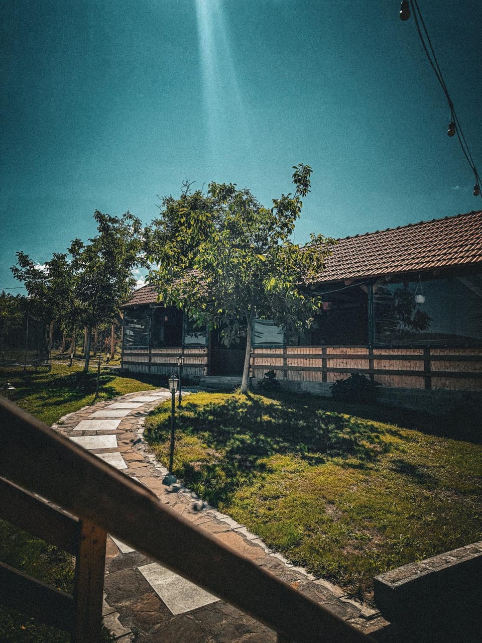 Garden view