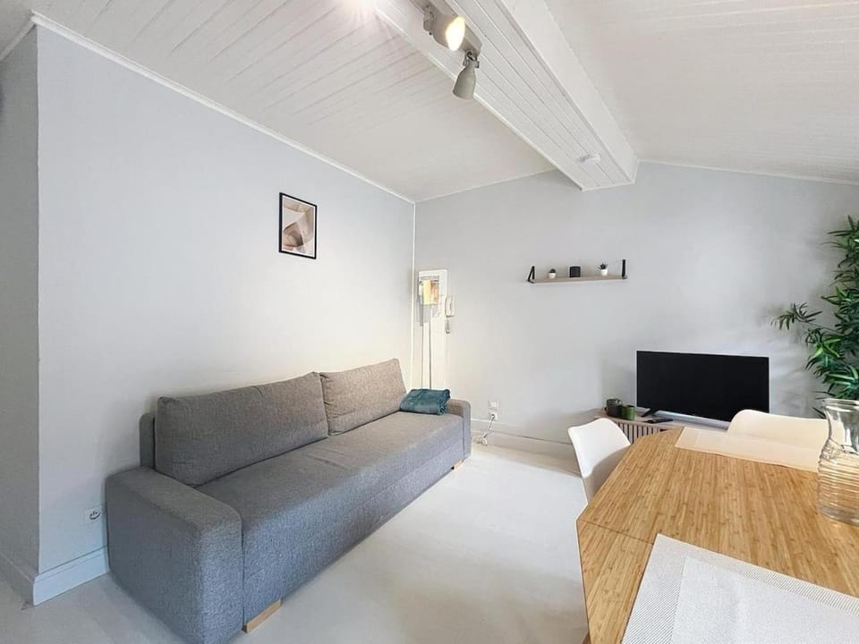 Cozy apartment Oullins metro B 100 m Apartment in Lyon
