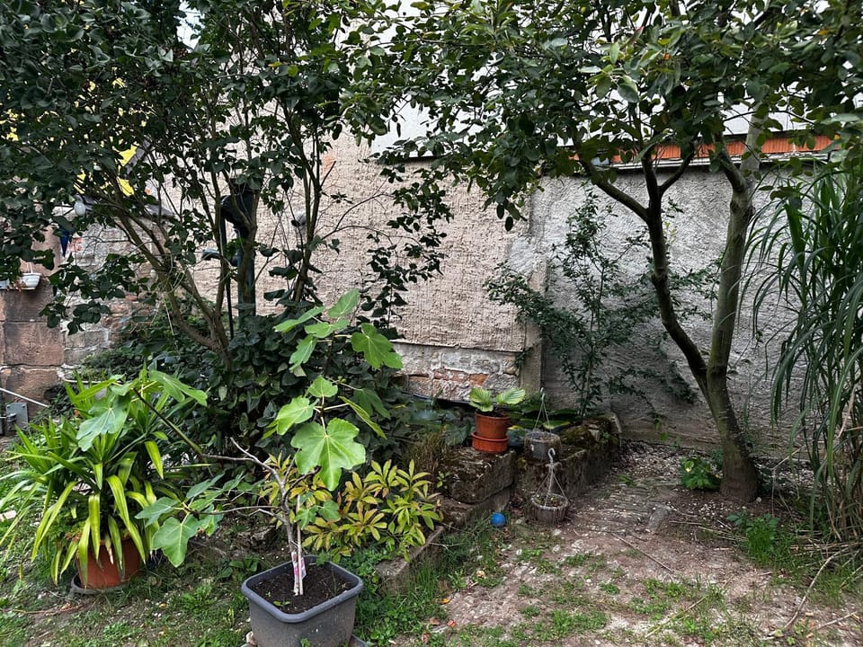 Garden, Garden view