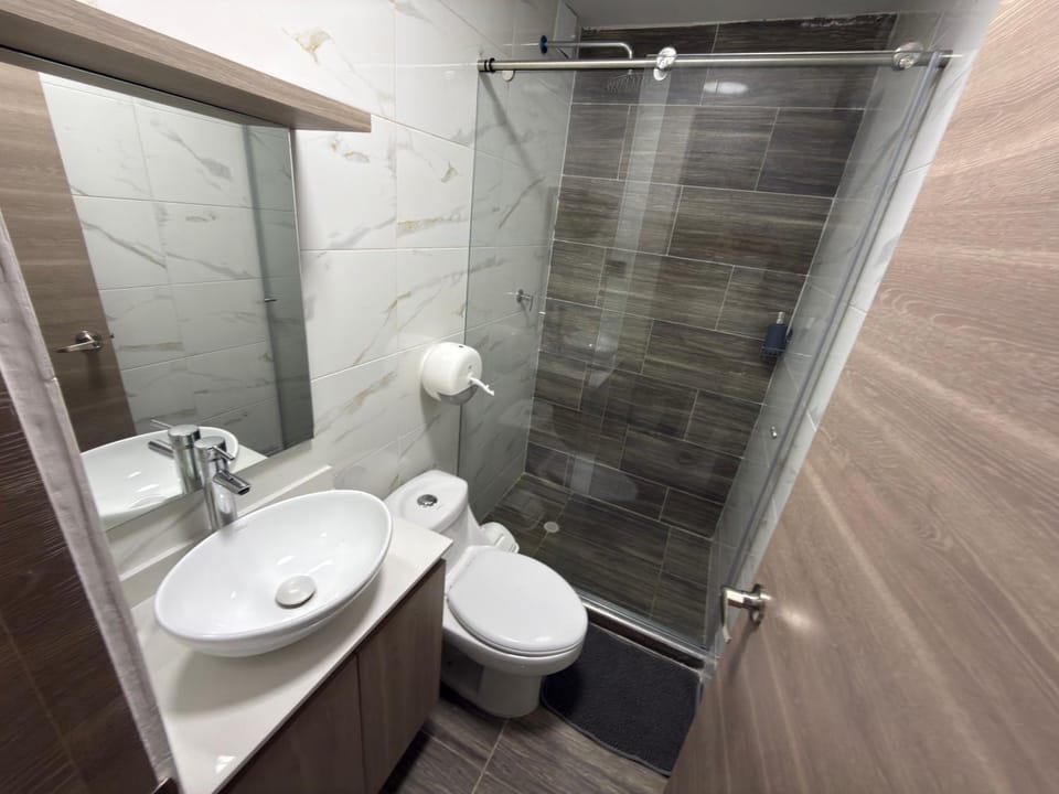 Shower, Toilet, Bathroom, towels